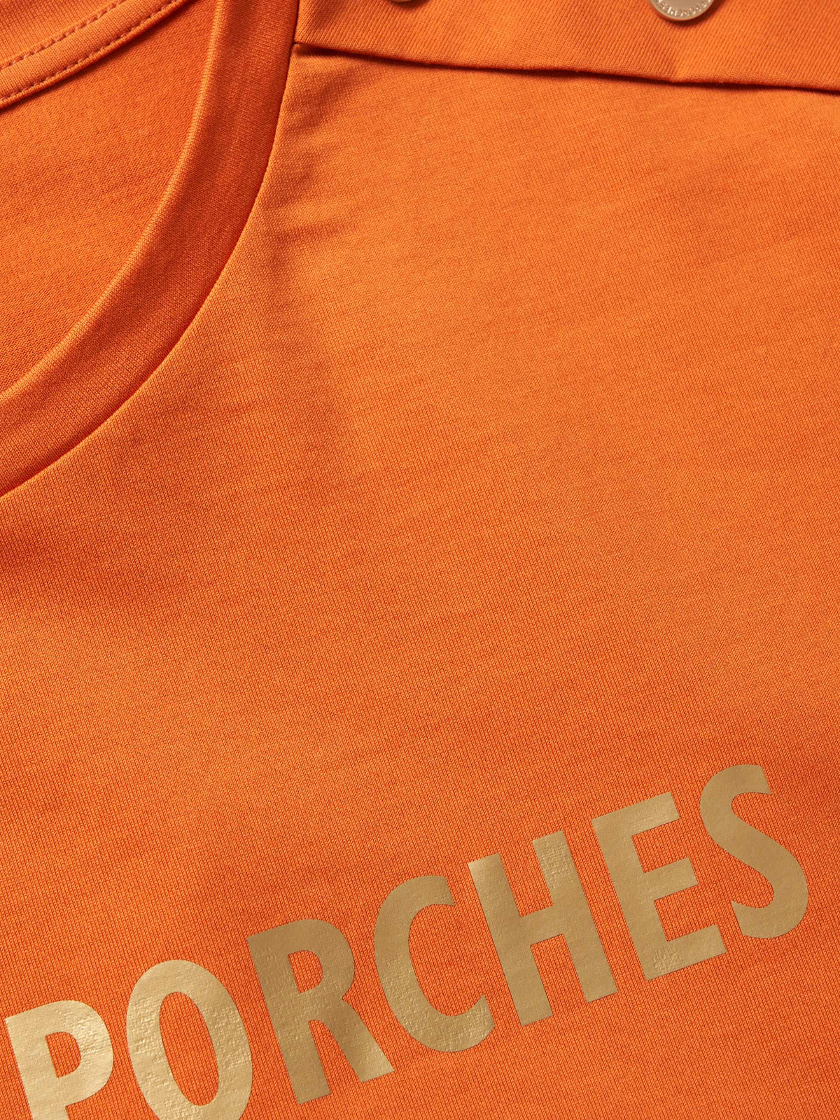 Camiseta Básica | Lion of Porches