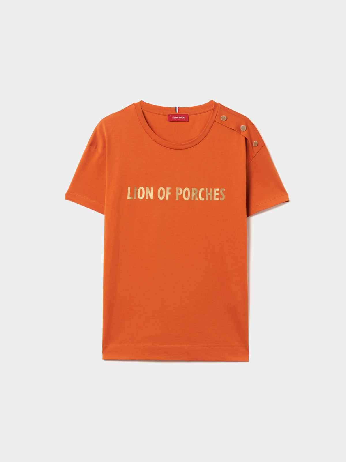 Camiseta Básica | Lion of Porches