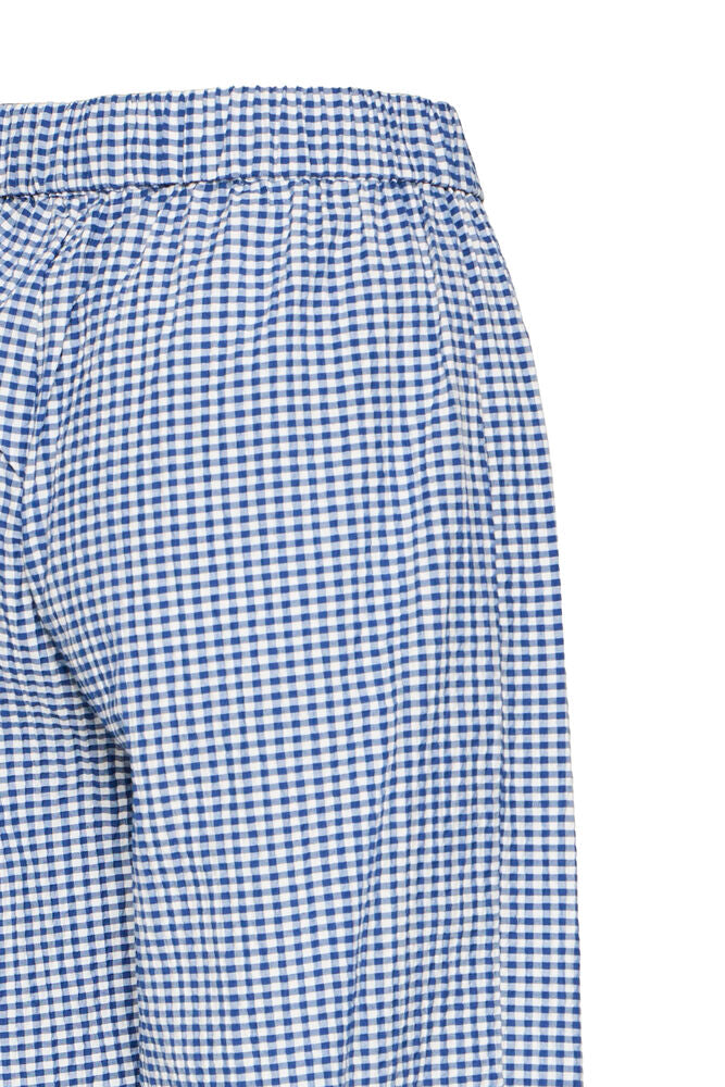 Pantalón Largo Cuadros Blanco y Azul